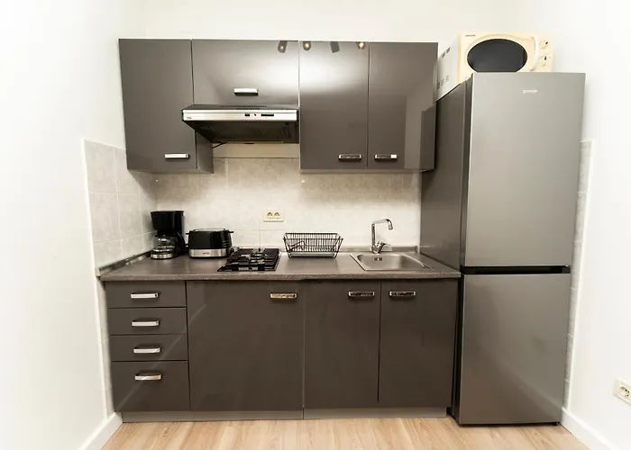 公寓 Charming And Cute Apartment,1001